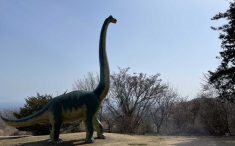 小室山　恐竜公園