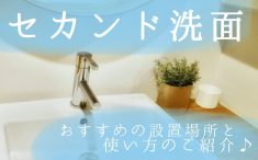 セカンド洗面