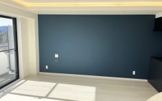 LDKのアクセントクロス